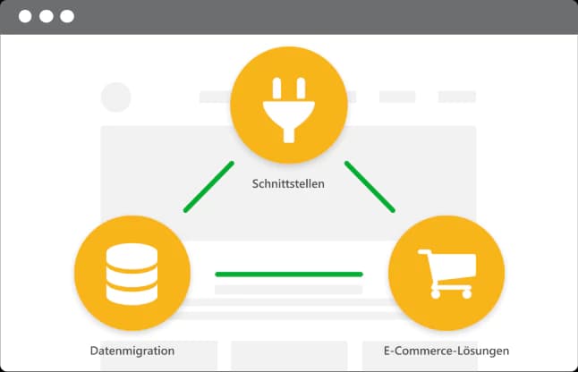 Schnittstellen & Datenmigration